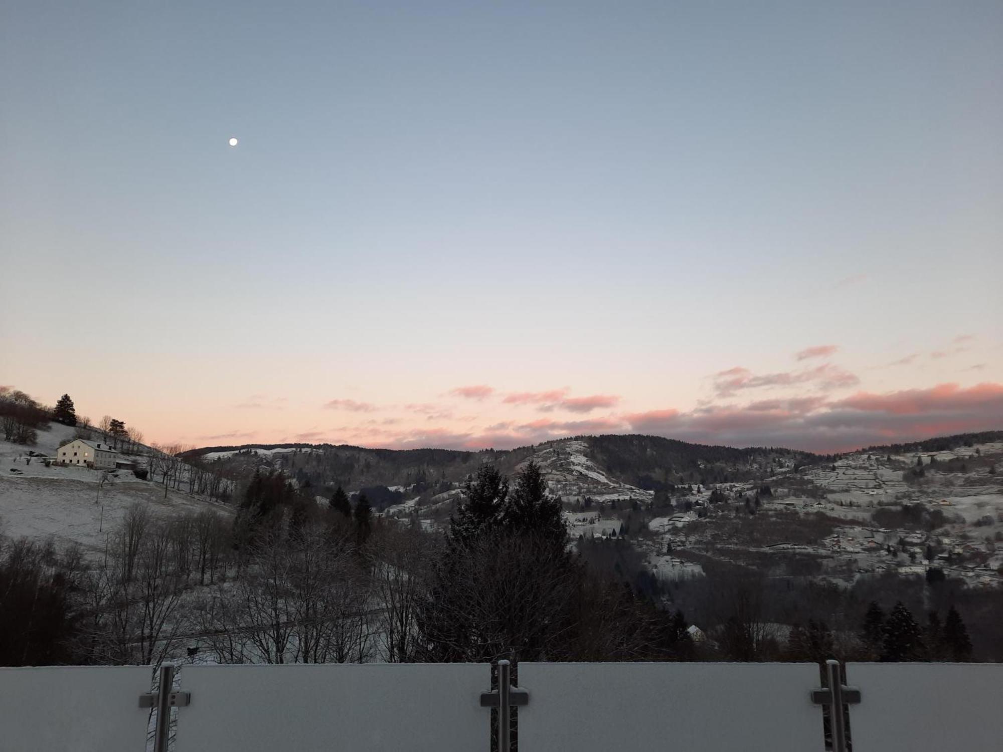 Les Bouvreuils Haute Vosges * La Bresse